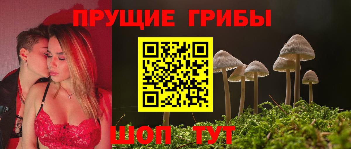 Звенигород  Псилоцибиновые грибы Magic Shrooms  Вход с VPN 