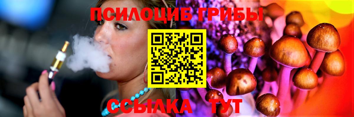 Галлюциногенные грибы Psilocybe Звенигород